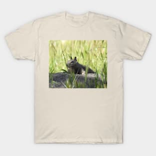 Ground squirrel, squirrels, animals, wildlife, gifts T-Shirt